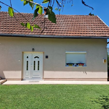 Kuca Za Odmor Dm Villa Bajina Basta Dış mekan fotoğraf