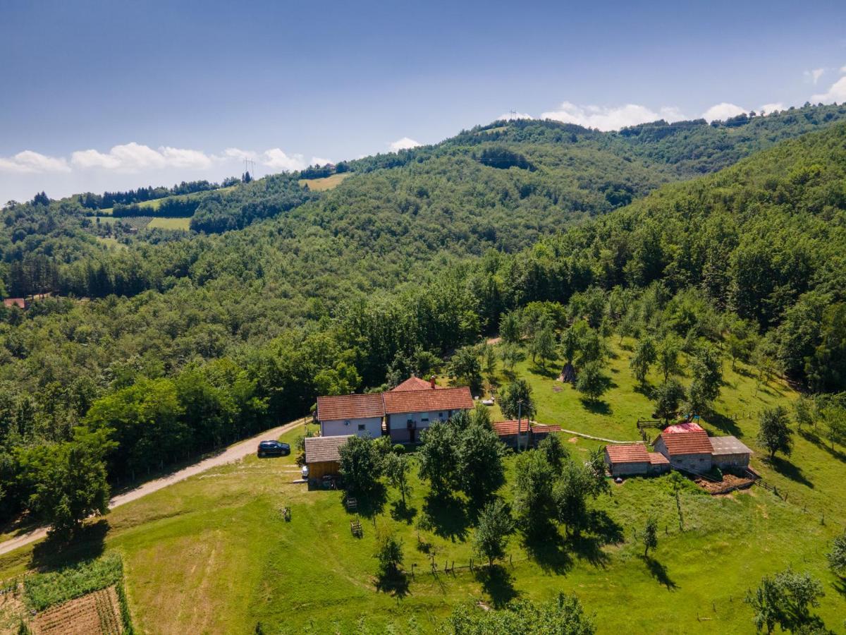 Kuca Za Odmor Dm Villa Bajina Basta Dış mekan fotoğraf