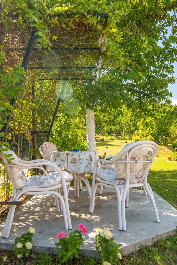 Kuca Za Odmor Dm Villa Bajina Basta Dış mekan fotoğraf